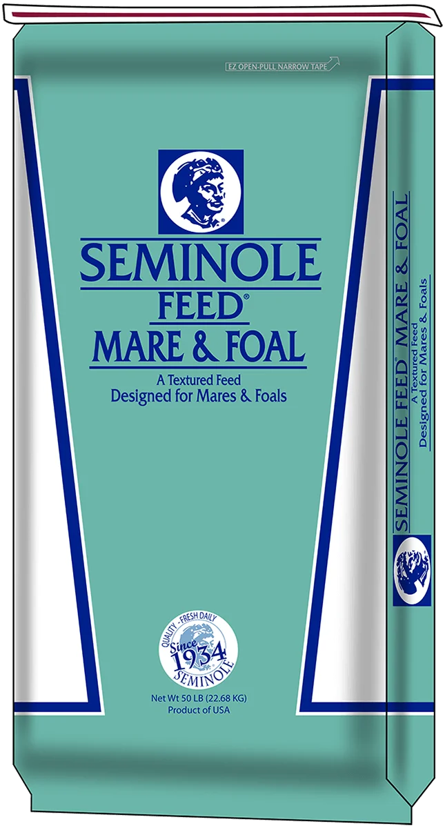 Seminole Mare and Foal